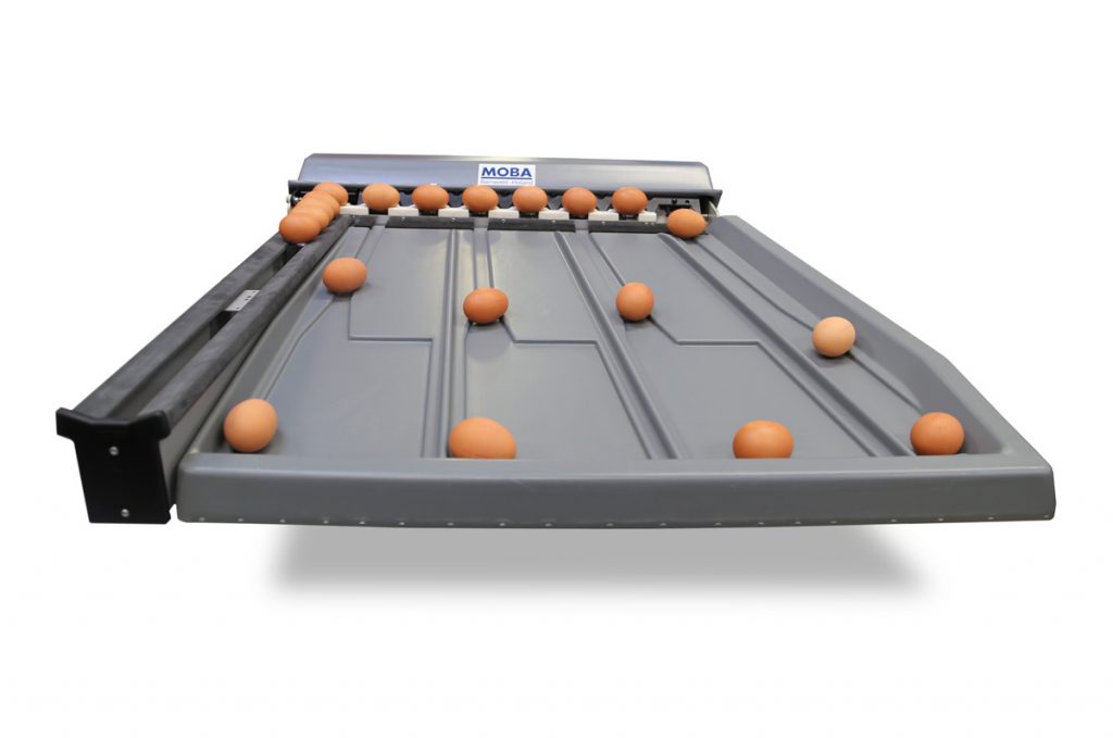 Mobanette - Moba - Egg grading, Packaging and Egg Processing Machines