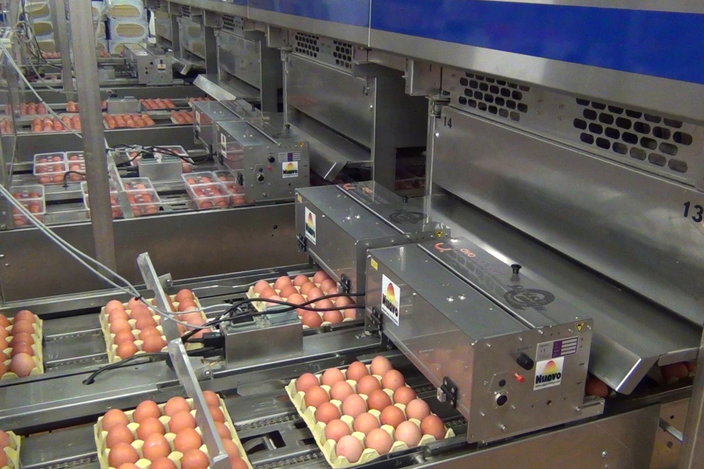 Egg Printing and Stamping with Nuovo and APS