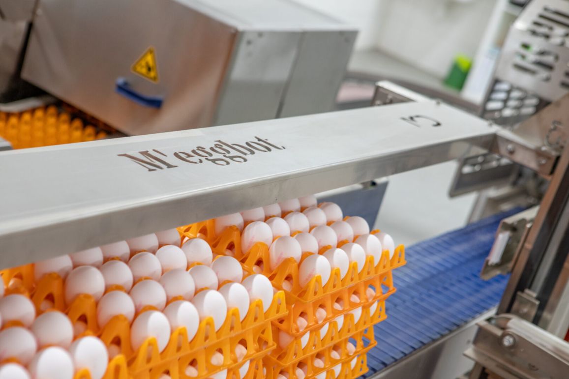 Egg Farm Packing, Printing and Stamping, and Palletising – an end-to-end solution